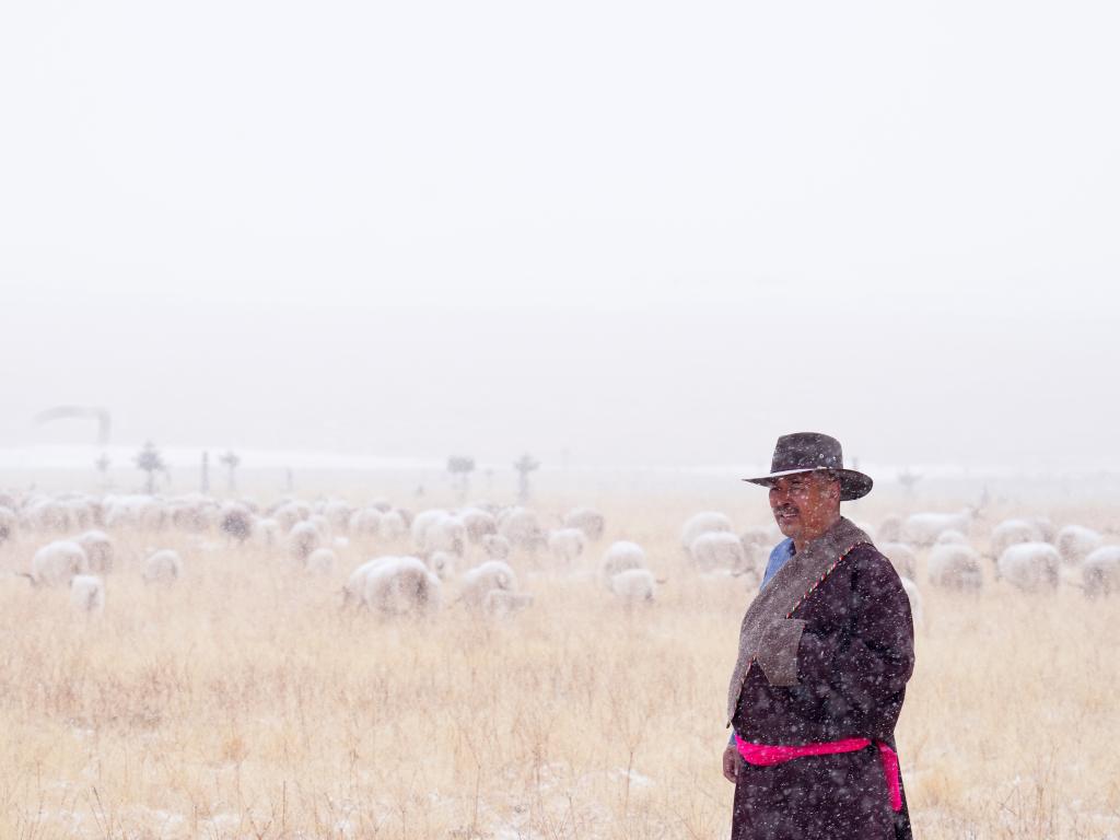 新春走基层｜“异地借牧”牧人的春日转场