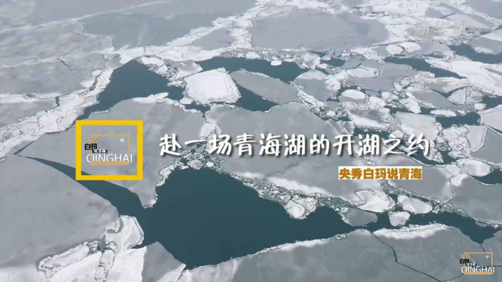 央秀白瑪說(shuō)青海 | 赴一場(chǎng)青海湖的開(kāi)湖之約