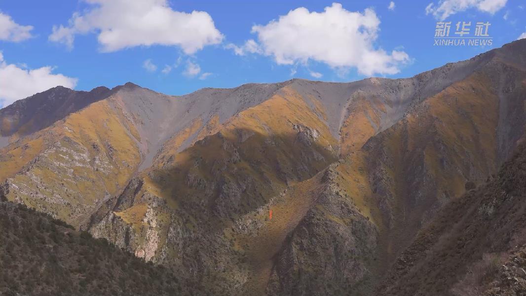 4362張照片！他們在這里堅(jiān)持10年開展雪豹種群動態(tài)研究